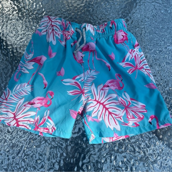 Tropical Flamingo Print swim Shorts - Picture 1 of 3